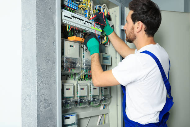 Best Electrical Repair Services  in Cheswold, DE